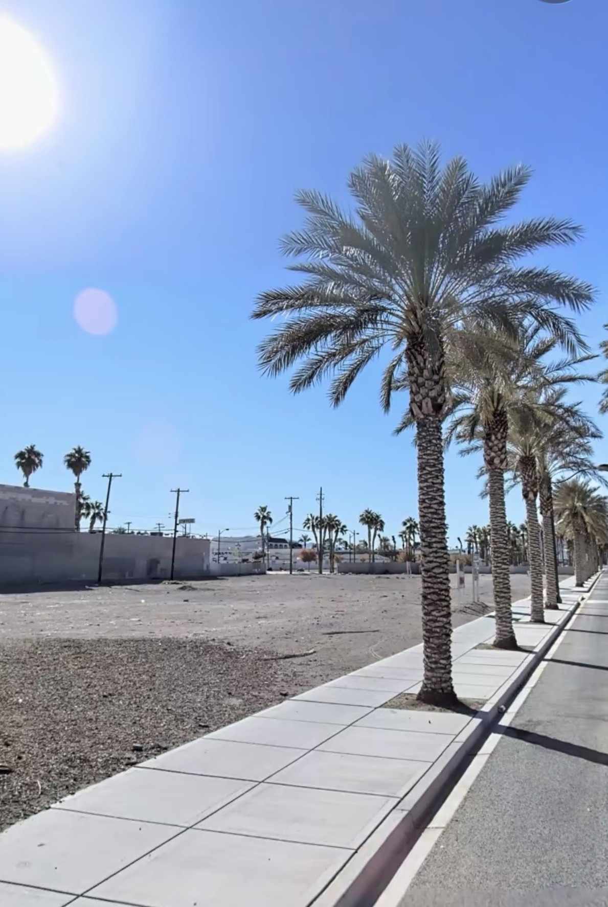 Palm-lined Arts District street beside undeveloped land