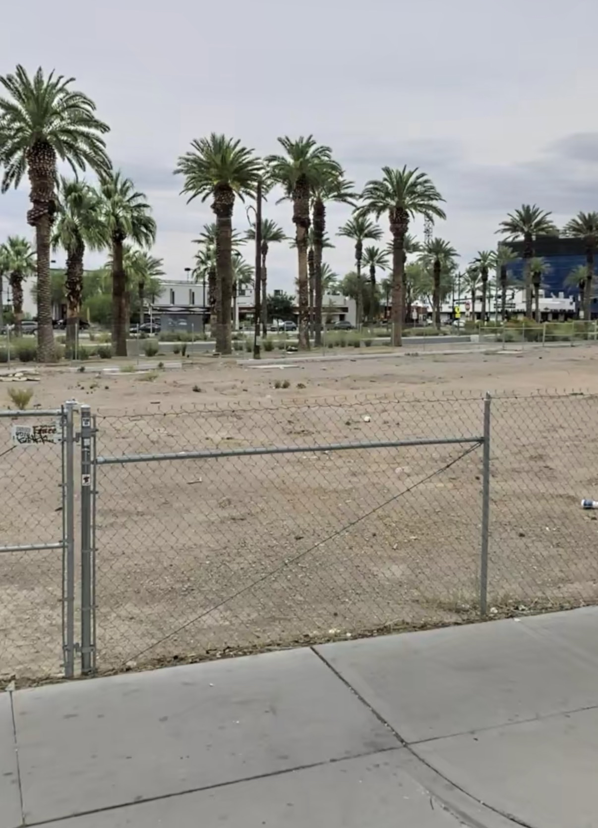 Fenced vacant downtown lot with palm trees beyond it