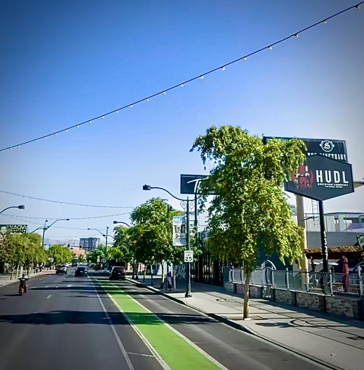 Arts District street with a bike lane and storefronts
